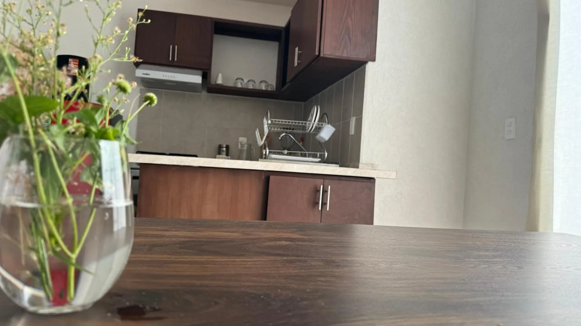 Cancun De Vacaciones En Familia